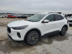2023 Ford Escape იყიდება Sikeston-ში, MO - Rear End