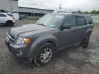 2011 Ford Escape Xlt за продажба в Leroy, NY - Rear End