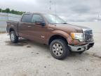 2011 Ford F150 Supercrew for Sale in Rogersville, MO - Front End