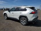 2020 Toyota Rav4 Limited en Venta en Rocky View County, AB - Normal Wear