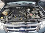 2009 Ford Escape Xlt for Sale in Bridgeton, MO - Minor Dent/Scratches