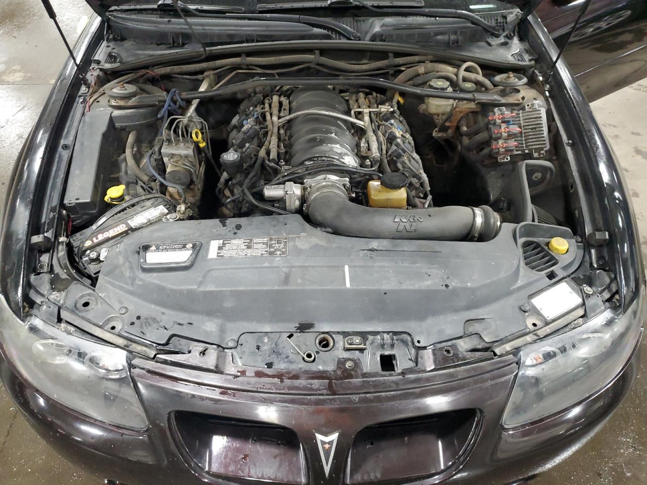 2006 Pontiac Gto VIN: 6G2VX12U06L500780 Lot: 55749885