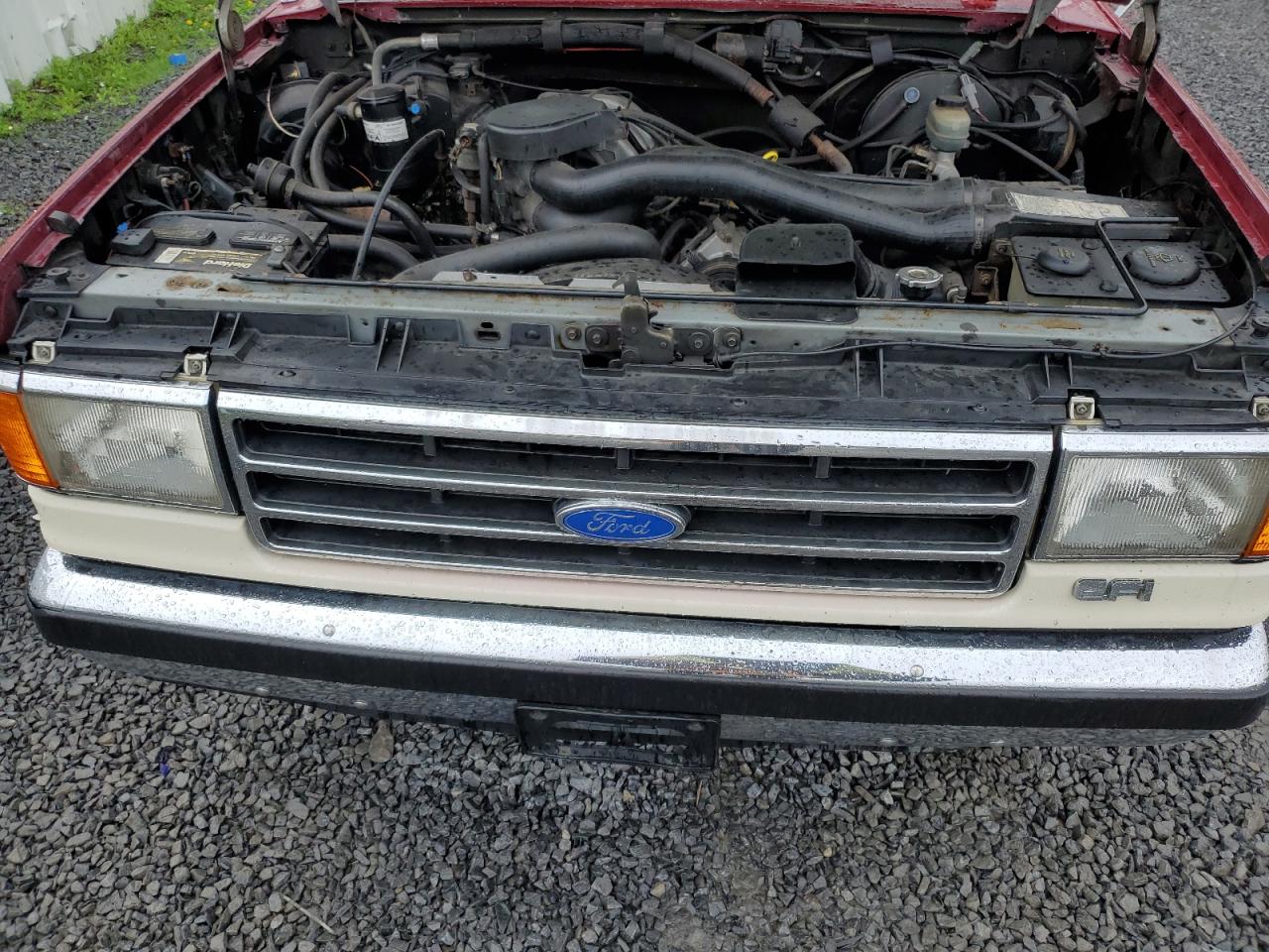 1989 Ford F150 VIN: 2FTDF15N2KCA90726 Lot: 55612495