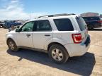 2011 Ford Escape Xlt for Sale in Amarillo, TX - Mechanical
