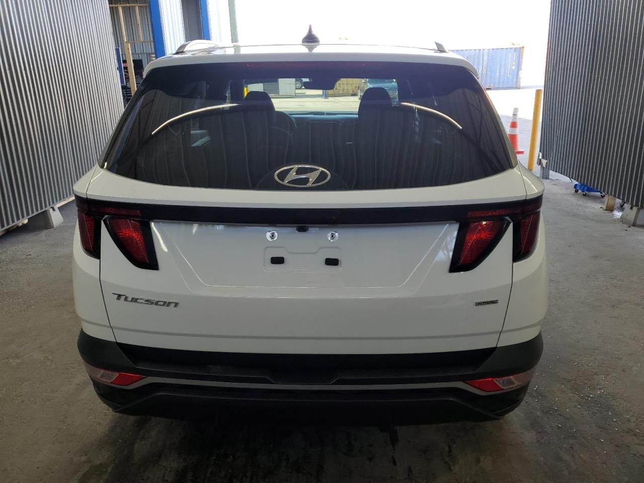 2024 Hyundai Tucson Sel VIN: 5NMJBCDE7RH321679 Lot: 55759655