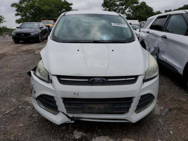 Паркетники FORD ESCAPE 2014 Белый