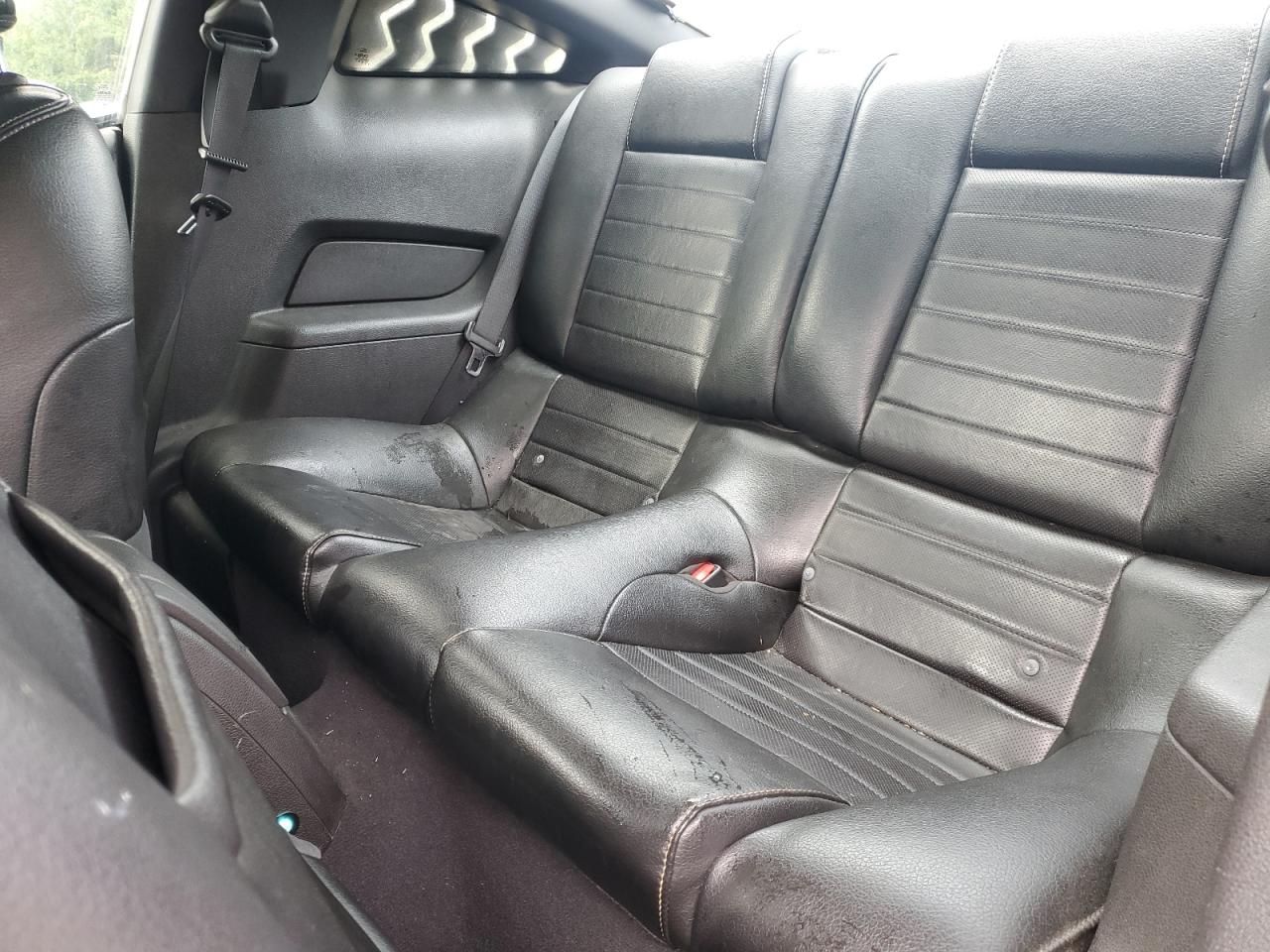2010 Ford Mustang VIN: 1ZVBP8AN7A5162318 Lot: 56390695