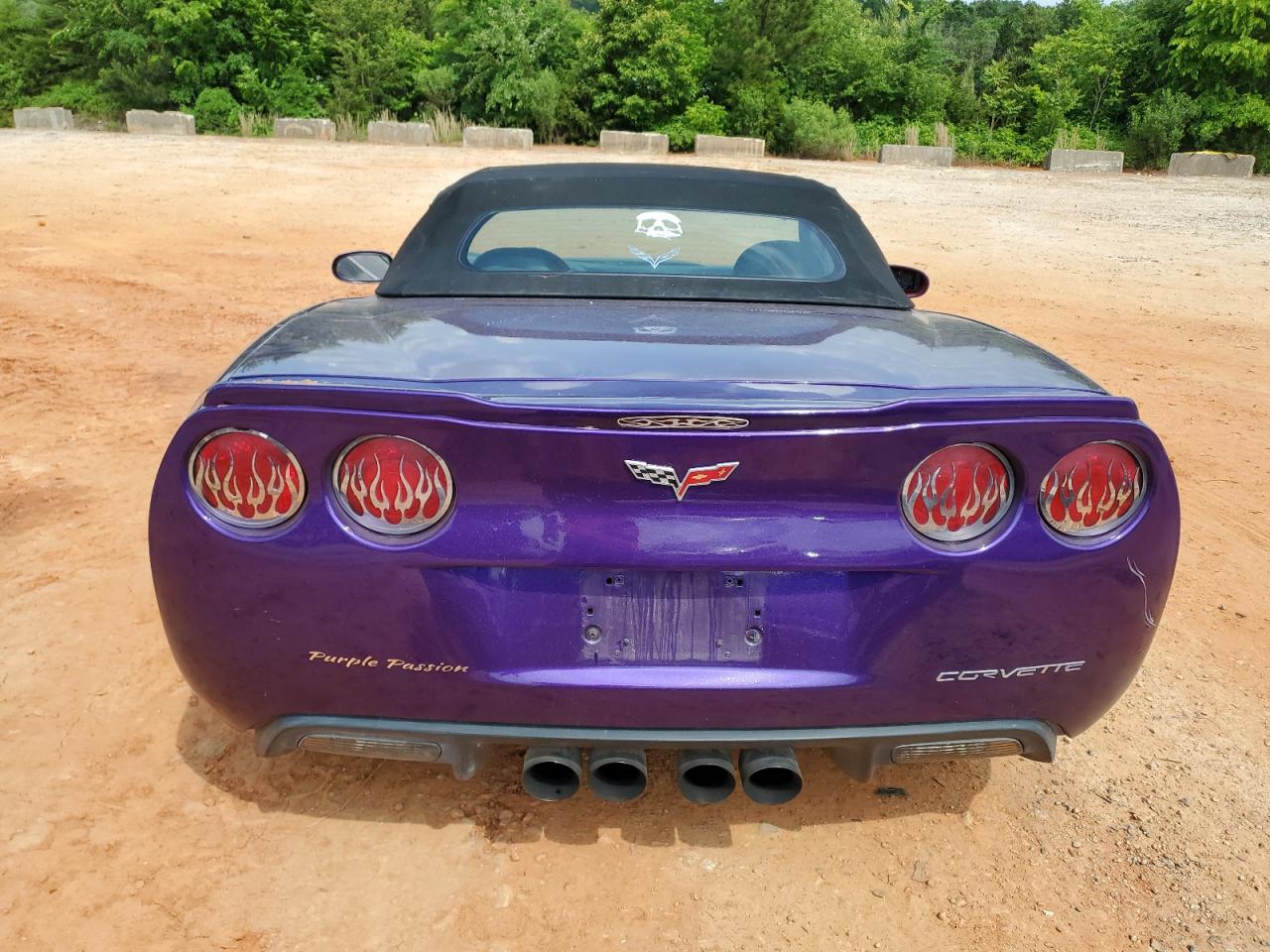 2010 Chevrolet Corvette VIN: 1G1YG3DW6A5103886 Lot: 57341945