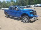Ham Lake, MN에서 판매 중인 2009 Ford F150 Supercrew - All Over