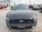 2017 Ford Mustang  for Sale in Haslet, TX - Hail