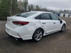 2019 HYUNDAI SONATA LIMITED   à vendre chez Copart ON - COOKSTOWN
