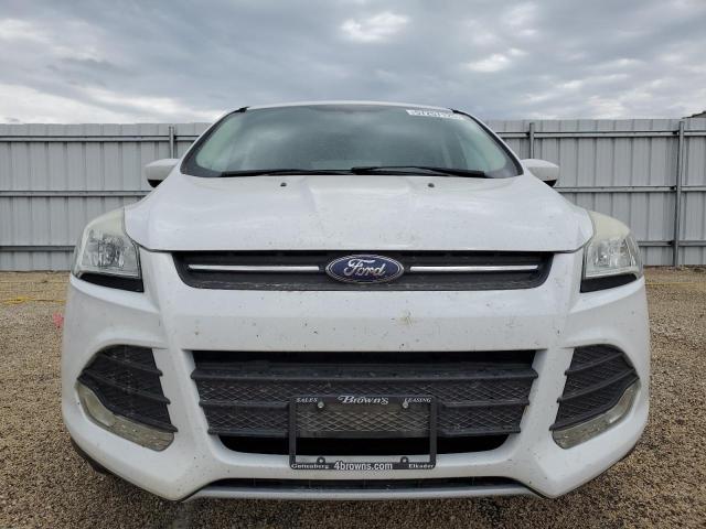  FORD ESCAPE 2014 Білий