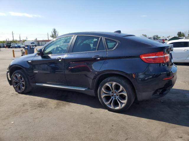 Parquets BMW X6 2013 Blue