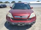 2008 Honda Cr-V Exl იყიდება Sacramento-ში, CA - Rear End