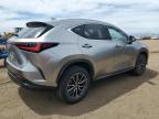 2023 Lexus Nx 350H   for Sale in Brighton, CO - Hail