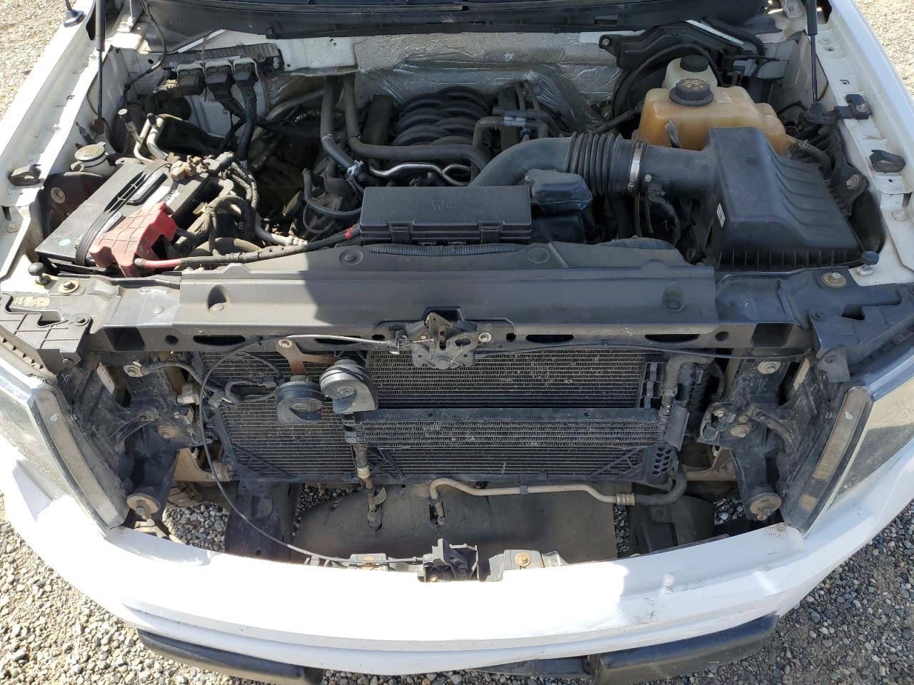 2013 Ford F150 Supercrew VIN: 1FTFW1EF3DFA06258 Lot: 56933675