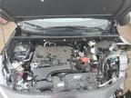 Brighton, CO에서 판매 중인 2025 Toyota Rav4 Le - Front End