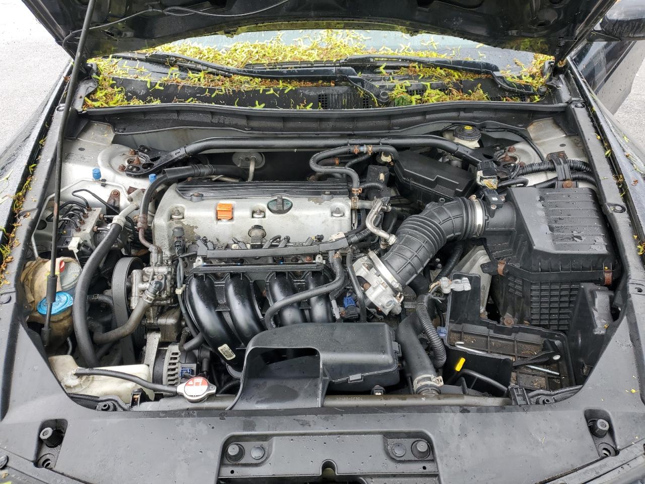 2010 Honda Accord Ex VIN: 1HGCS1B78AA007270 Lot: 56057645