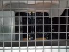 2012 Ford Transit Connect Xlt en Venta en Duryea, PA - Minor Dent/Scratches