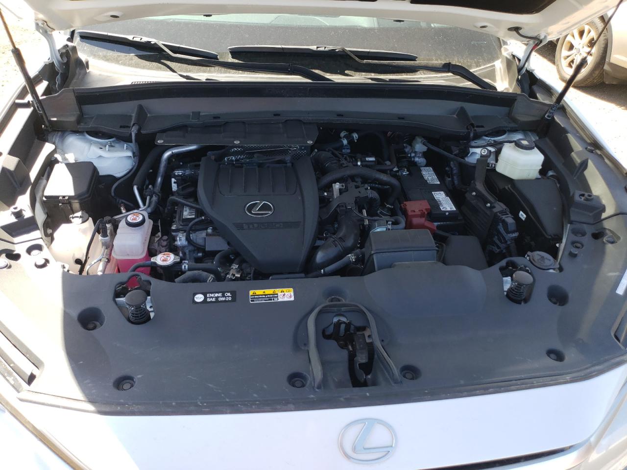 2024 Lexus Tx 350 Base VIN: 5TDAAAB63RS006832 Lot: 57037395
