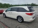 2019 Honda Odyssey Exl for Sale in Louisville, KY - Side