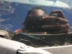 2013 Infiniti G37  იყიდება Glassboro-ში, NJ - All Over