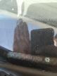 2012 Honda Odyssey Exl for Sale in Greenwood, NE - Front End