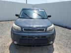 Riverview, FL에서 판매 중인 2016 Kia Soul + - Minor Dent/Scratches