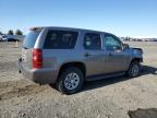 2013 Chevrolet Tahoe K1500 for Sale in Airway Heights, WA - Front End