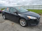 2018 Ford Focus Se for Sale in Mcfarland, WI - Hail