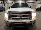 2014 Ford F150 Supercrew for Sale in Avon, MN - Rear End