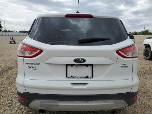  FORD ESCAPE 2014 Білий