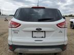 2014 Ford Escape Se for Sale in Cedar Rapids, IA - Hail