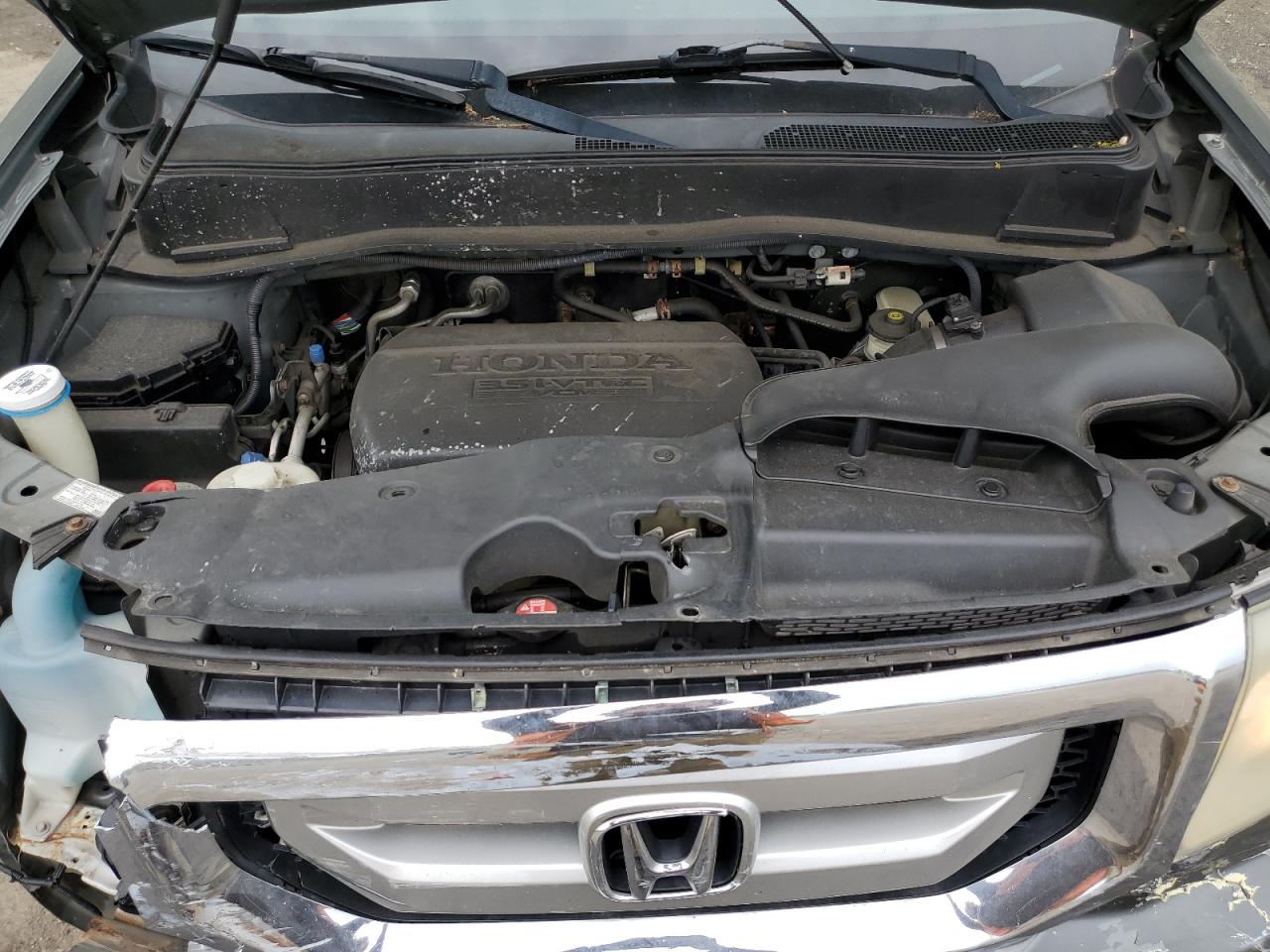 2011 Honda Pilot Exl VIN: 5FNYF4H59BB017800 Lot: 56846915