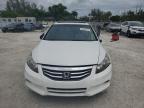 2011 Honda Accord Exl   за продажба в Opa Locka, FL - Side