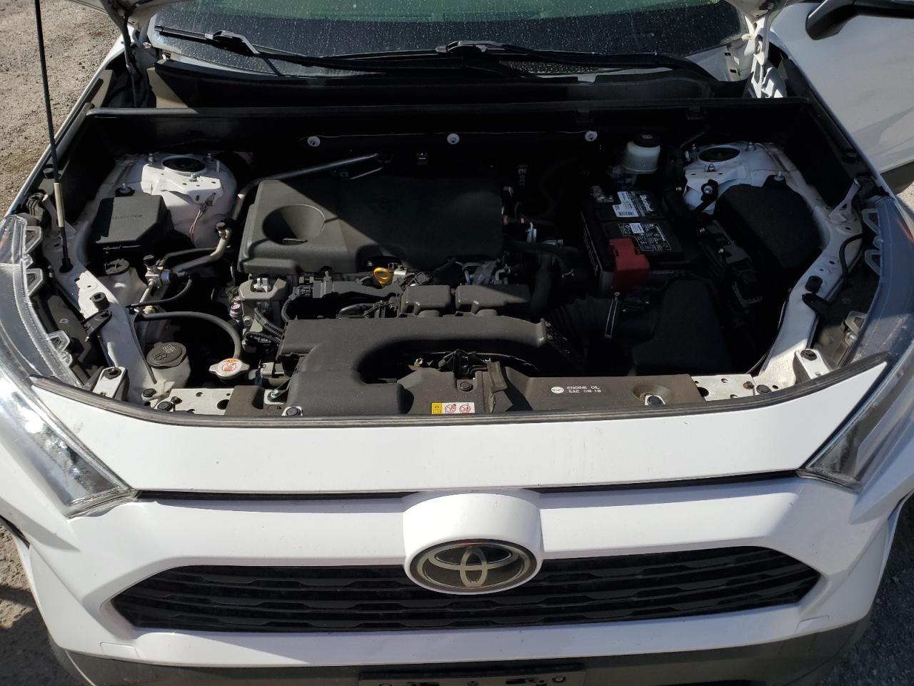 2019 Toyota Rav4 Xle VIN: JTMP1RFVXKD023638 Lot: 57143605