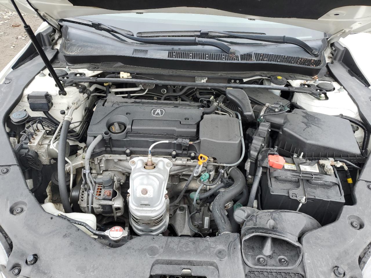 2016 Acura Tlx VIN: 19UUB1F30GA013419 Lot: 55956925
