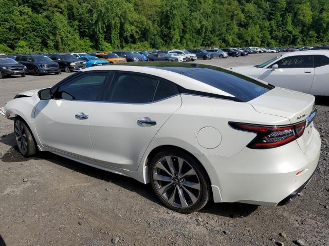  NISSAN MAXIMA 2023 White