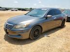 2011 Honda Accord Ex продається в San Antonio, TX - Minor Dent/Scratches