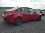 2009 FORD FOCUS SE   à vendre chez Copart ON - OTTAWA