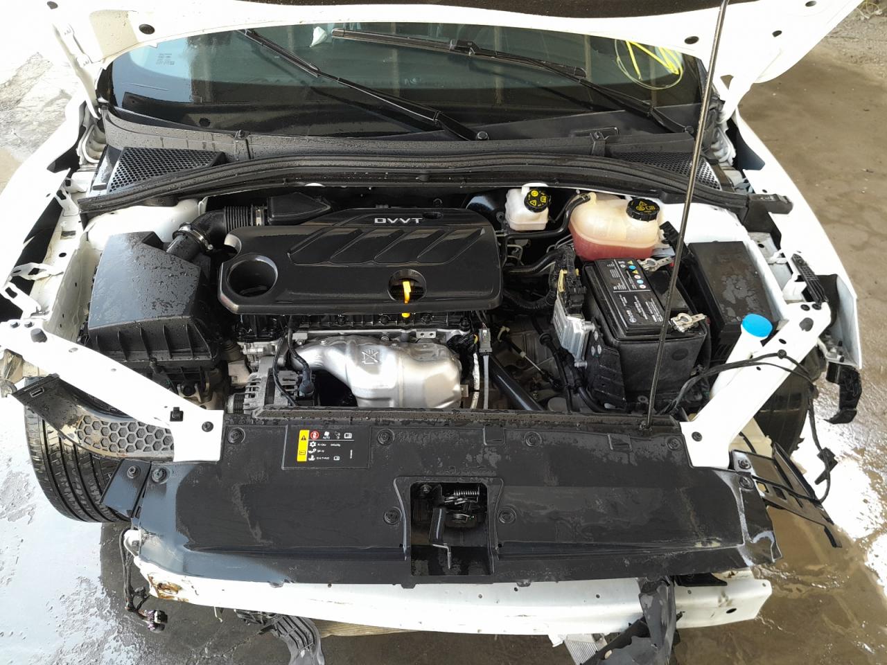 LSJA36U37RN031473 - 2022 Mg Gt - #58630165