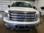 2014 Ford F150 Supercrew იყიდება Blaine-ში, MN - Minor Dent/Scratches