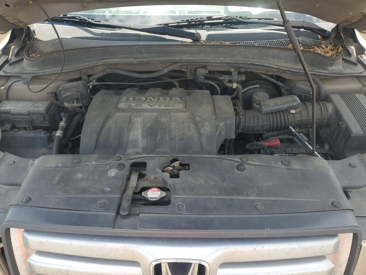 2006 Honda Pilot Ex VIN: 5FNYF18526B001104 Lot: 55836265