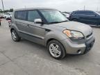 2011 Kia Soul + იყიდება Grand Prairie-ში, TX - Minor Dent/Scratches