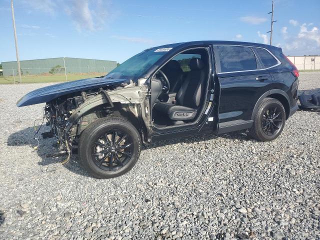 HONDA CR-V SPORT 2025