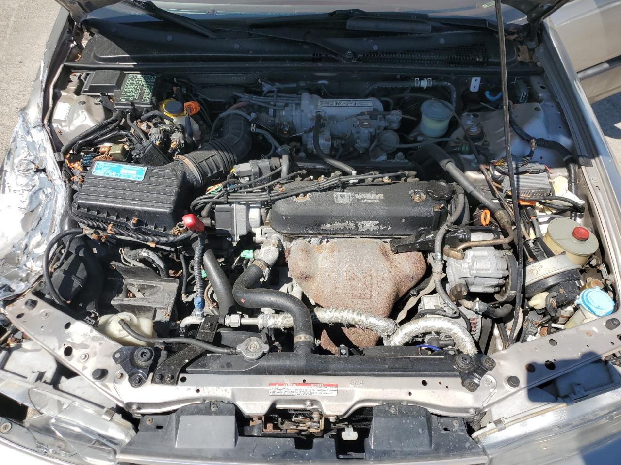 1992 Honda Accord Ex VIN: 1HGCB7671NA082828 Lot: 57551185
