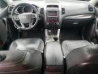 2011 Kia Sorento Ex zu verkaufen in Dunn, NC - Minor Dent/Scratches