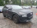 2023 Hyundai Santa Fe Xrt   zu verkaufen in Riverview, FL - Side
