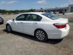 2013 Honda Accord Exl en Venta en Lumberton, NC - Front End