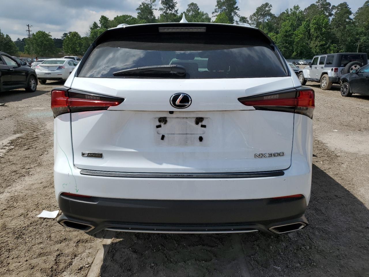 2018 Lexus Nx 300 Base VIN: JTJYARBZ2J2088276 Lot: 55977575